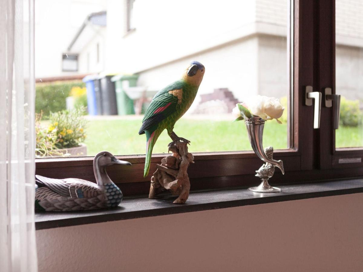 Sunny Flat In Bad Driburg With Garden Daire Dış mekan fotoğraf